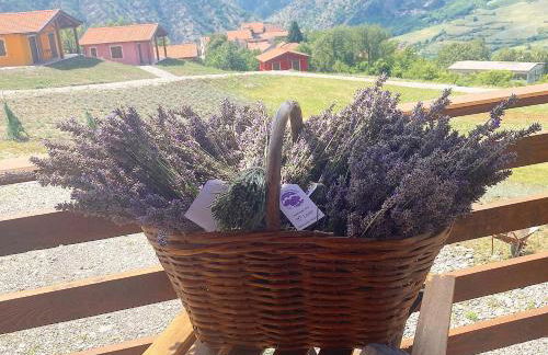 Azienda Agricola Saint Hubert - Foto 13