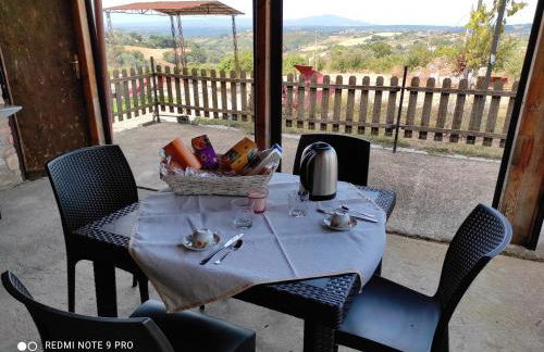 Giardino casa Selciata - Foto 17