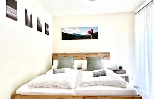 RelaxApartments BLACK FOREST DIAMOND direkt an der Hornberger Freilichtbühne - Sonnenterrasse mit Blick auf das Hornberger Schloss, schnelles Internet, für bis zu 2 Personen - Foto 3