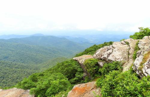 Treetops Cabin easy to Asheville with fast wifi and great view - Foto 34