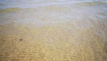 CASA GINEVRA - Foto 5