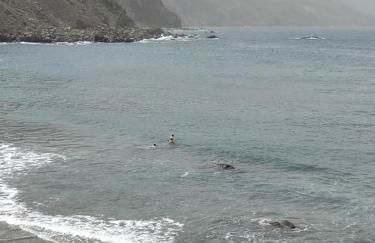 Ocean front La Maresia Holiday 2 Apartments - Foto 25