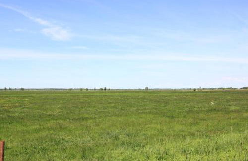 Friedeburga - Photo 47