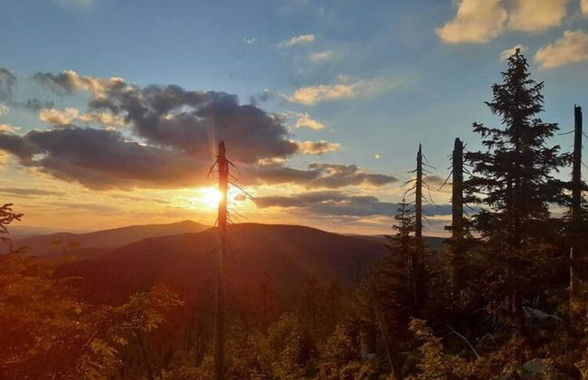 Welcoming Chalet Near Forest in Rohrnbach - Foto 60