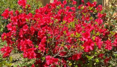 Casa Giorgio - Foto 3