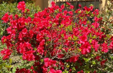 Casa Giorgio - Foto 3