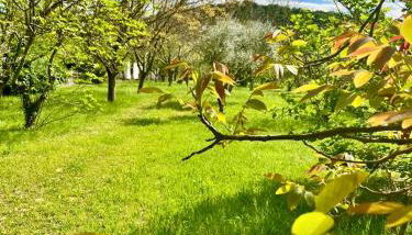 Villa Madeleine - Foto 5, Garden, Garden view