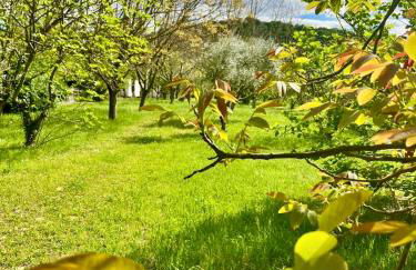 Villa Madeleine - Foto 5