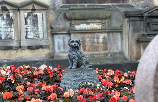 Tour audio a piedi GPS autoguidato di Harry Potter a Edimburgo - Foto 8