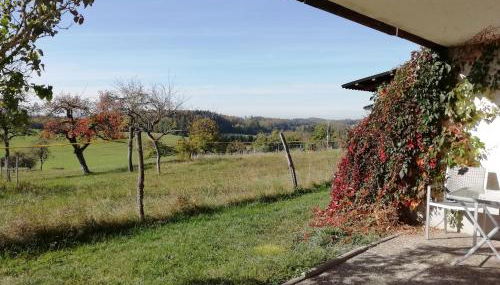Alpenblick - Foto 5, Garden view
