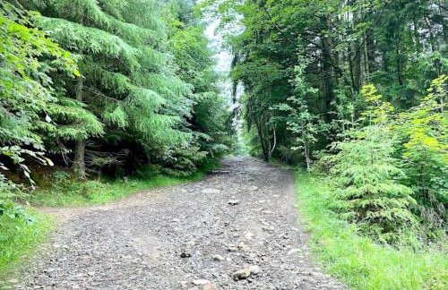 3 Bed in Bishop Auckland oc-89896 - Photo 30