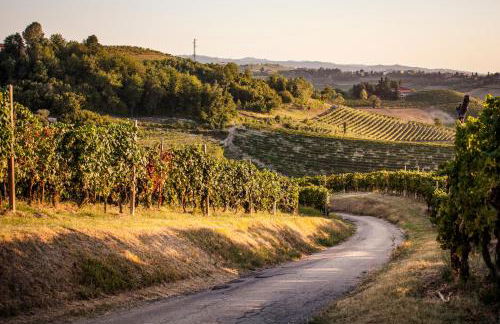 Villa Vinory - La Mandragola - Foto 68