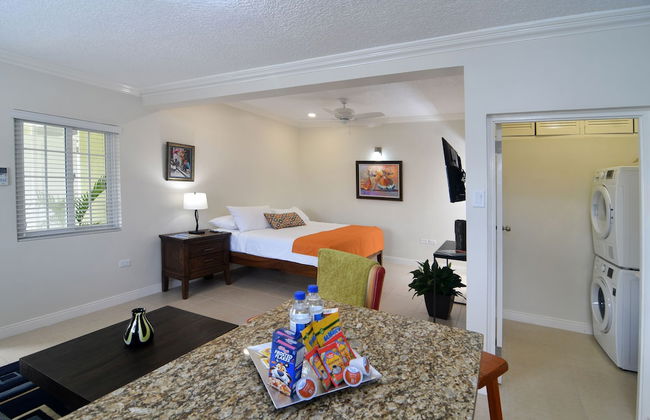 Centrally Located Guest Apartments III - Photo 4