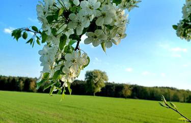 Stodoła HOME&CHILL - Foto 56