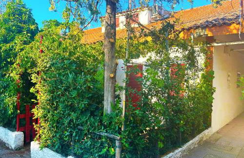 Case Vacanze a Rossano - Foto 75