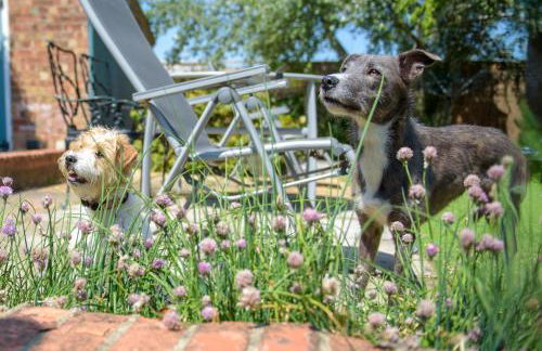 Luxury Isla Cottages Bourne, Dog Friendly with Garden, Parking, Countryside Views, Family Holidays & Easy Access to Town - Foto 15