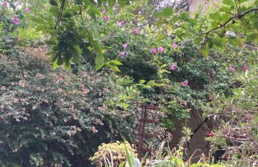 Villa L Oasis avec piscine - Foto 42