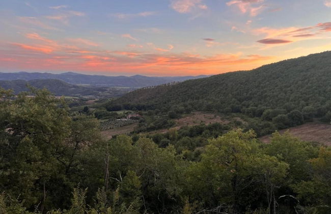 Pet-friendly Farmhouse - Foto 30