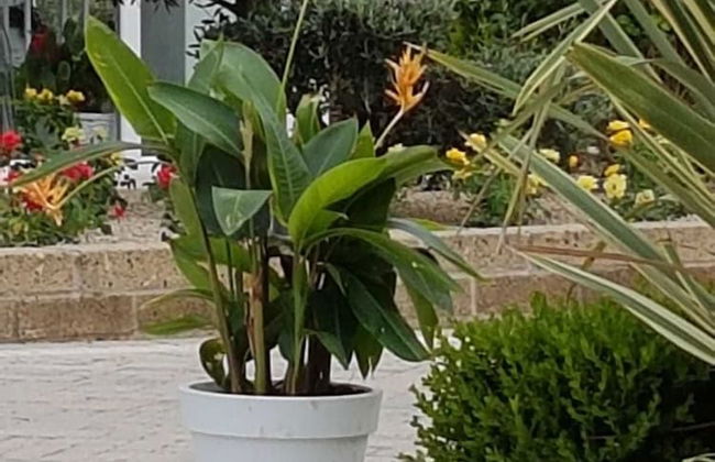 Residenza delle Grazie - Foto 31