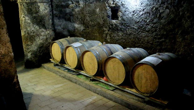 Visitaremos a área subterrânea dos barris da vinícola