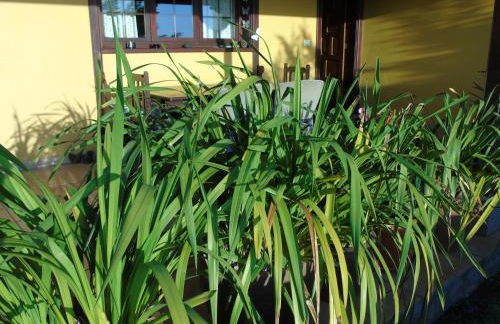 CASA VAN DE WALLE - Foto 34