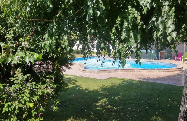 Galeria In The Garden - Photo 43