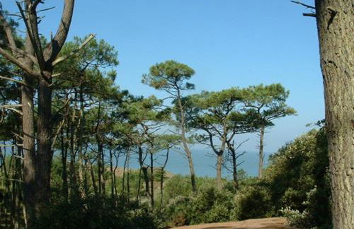 les Cottages du Valcoquet - Foto 74