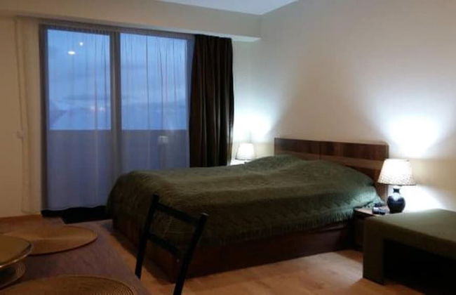 New Gudauri Block 4 - Ski4Life - Foto 5