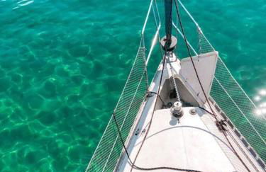 Experiência a bordo em Angra - Foto 37