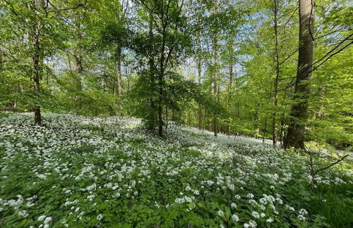 Ferienwohnung Weitblick - Photo 28