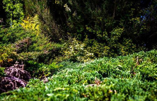 Domek Między Wodą - Photo 15