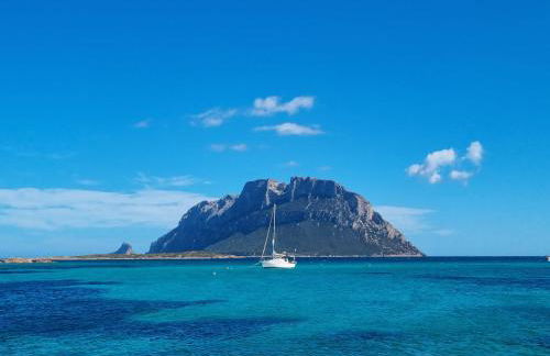 Appartamento San Teodoro centro - Foto 4