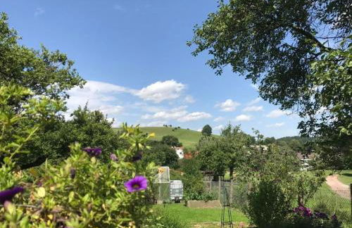 Holiday Home am Weiher by Interhome - Foto 27