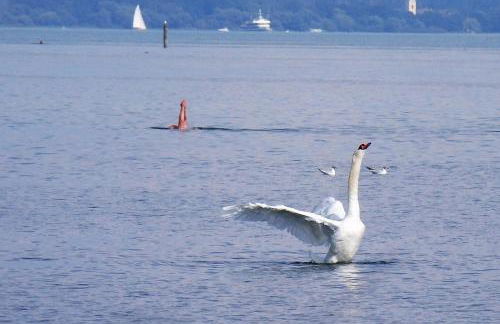 Gästehaus zum Landesteg - Foto 69
