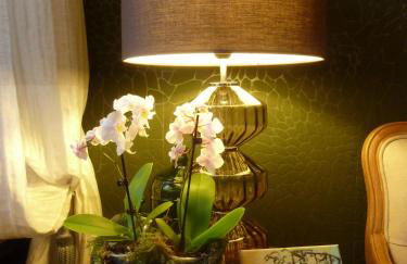 Golden Treasure Deluxe - Foto 43