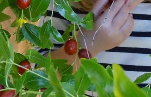 Villa La Lodola - Photo 65