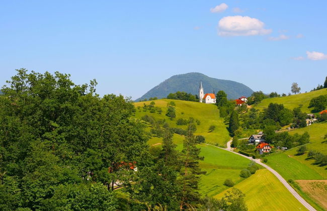 Farmhouse Raspberry Pool Wellness - Photo 36