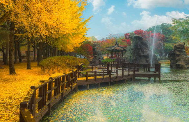 Excursão à Petite France e ilha Nami + Rail bike - Foto 1