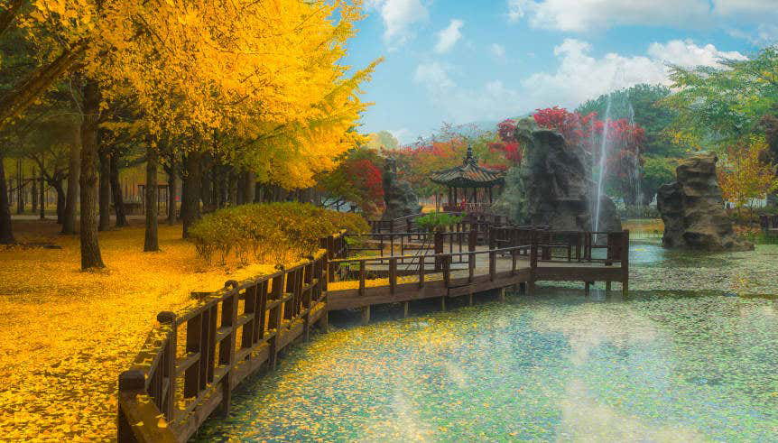 Excursão à Petite France e ilha Nami + Rail bike