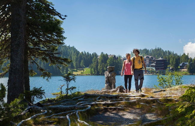 Chalet in Austria Near Ski Slope & Sauna - Foto 32