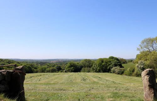 The White Cloud Bus - Foto 16