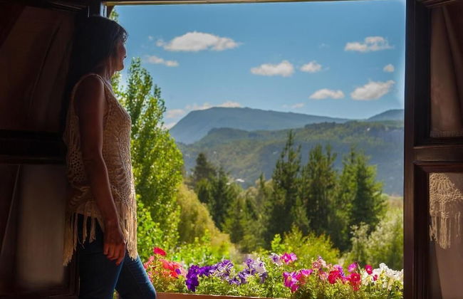 Cabañas Antilhue - Foto 27