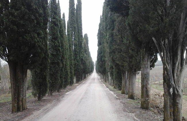 Podere Campovecchio - Foto 27