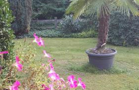 Hans-Eidig - Foto 10