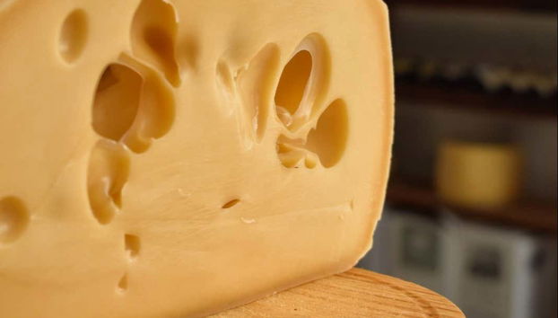 Cheese from Colonia del Sacramento