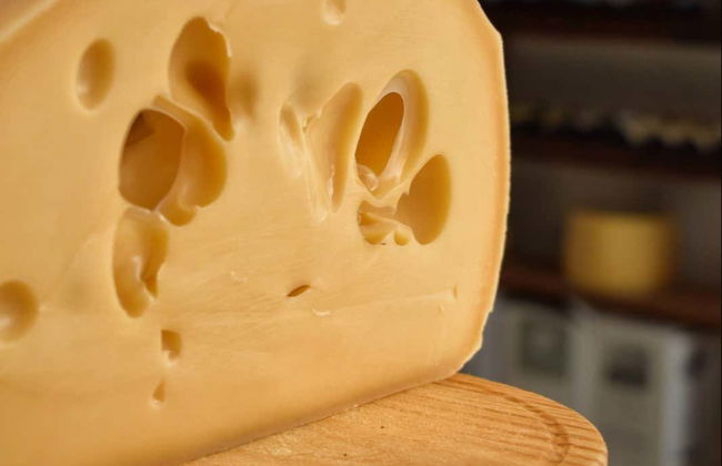 Dégustation de fromages et de vins à Colonia del Sacramento - Photo 4