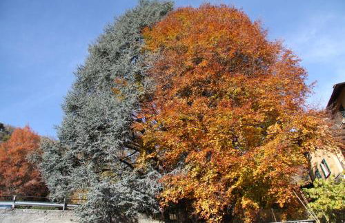 Casa Mauri - Photo 20