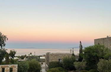 VILLA CHRISTINA-Soros beach, Antiparos - Photo 2