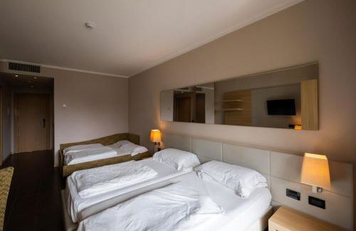 Villa Luisa Resort & Luxury Apartments - Foto 63