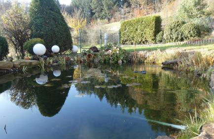 Ferienwohnung Schwalbennest - Foto 39